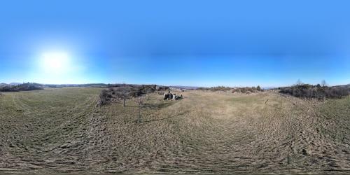 DJI_2376.JPG